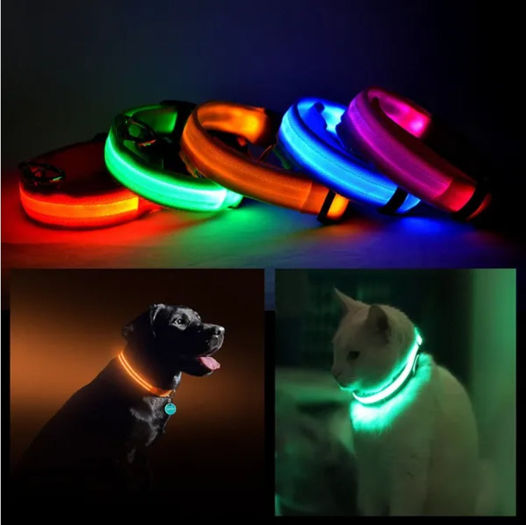 LED Safety Halo Collar – Illuminated Pet Collar for Night Visibility