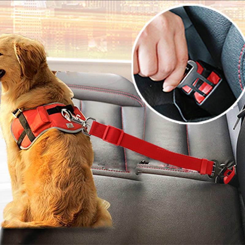SafePaw Dog Car Safety Leash & Telescopic Belt