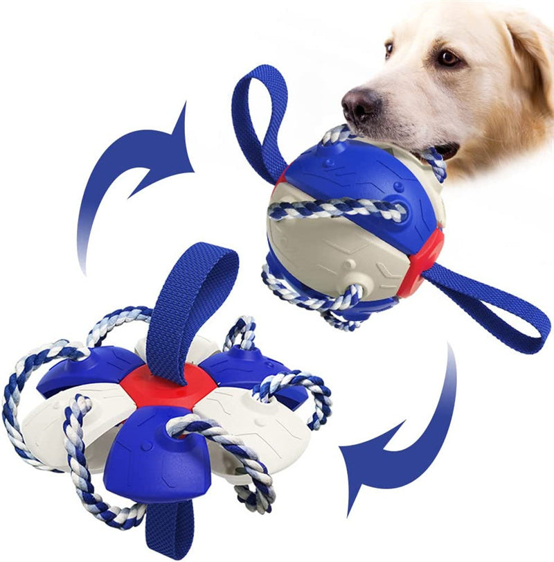 PawsKick Interactive Dog Sport Ball