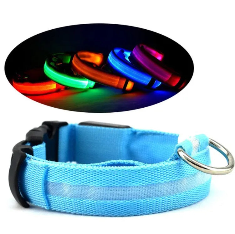 LED Safety Halo Collar – Illuminated Pet Collar for Night Visibility