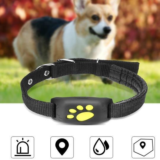 GPS Pet Tracker – Real-Time Location & Safety Device for Pets