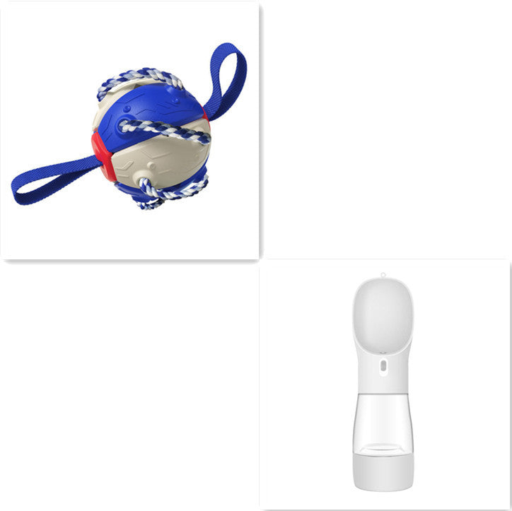 PawsKick Interactive Dog Sport Ball