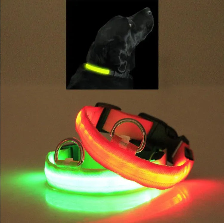 LED Safety Halo Collar – Illuminated Pet Collar for Night Visibility