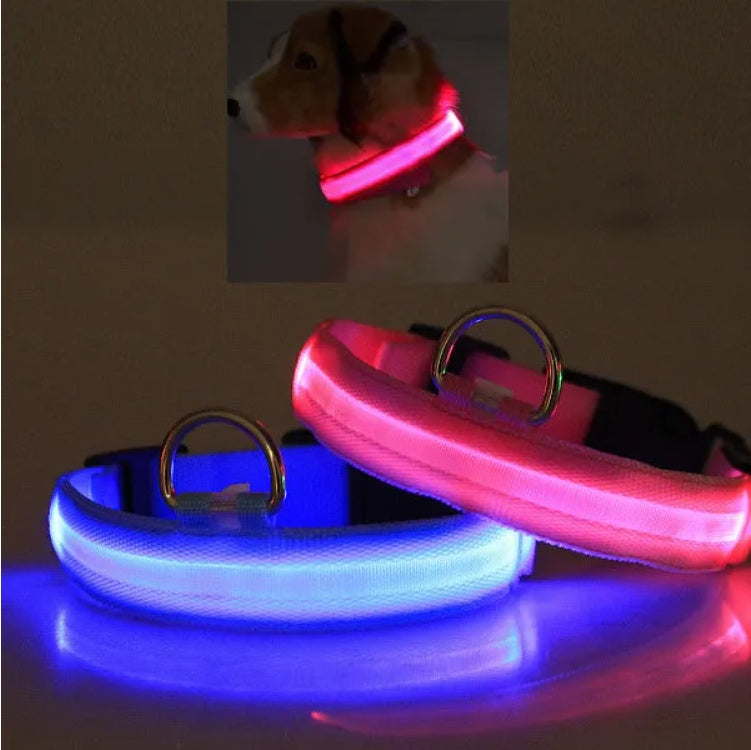 LED Safety Halo Collar – Illuminated Pet Collar for Night Visibility