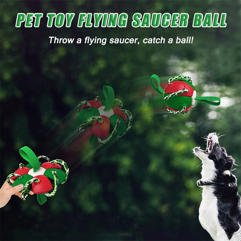 PawsKick Interactive Dog Sport Ball