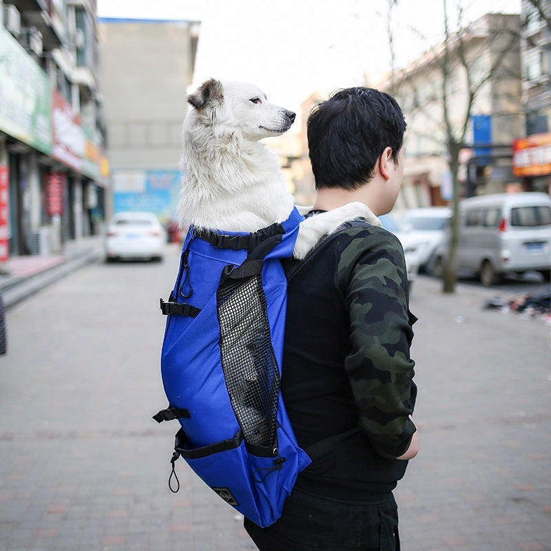 PawVoyage Dual-Shoulder Pet Carrier Backpack