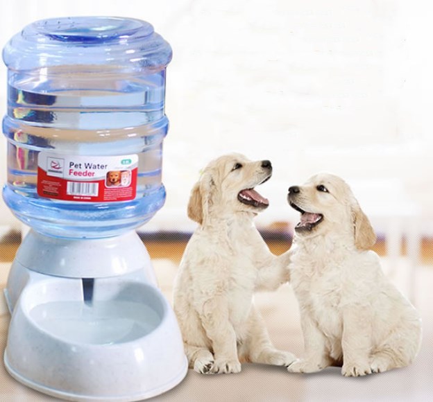AquaServe Automatic Pet Feeder & Water Fountain