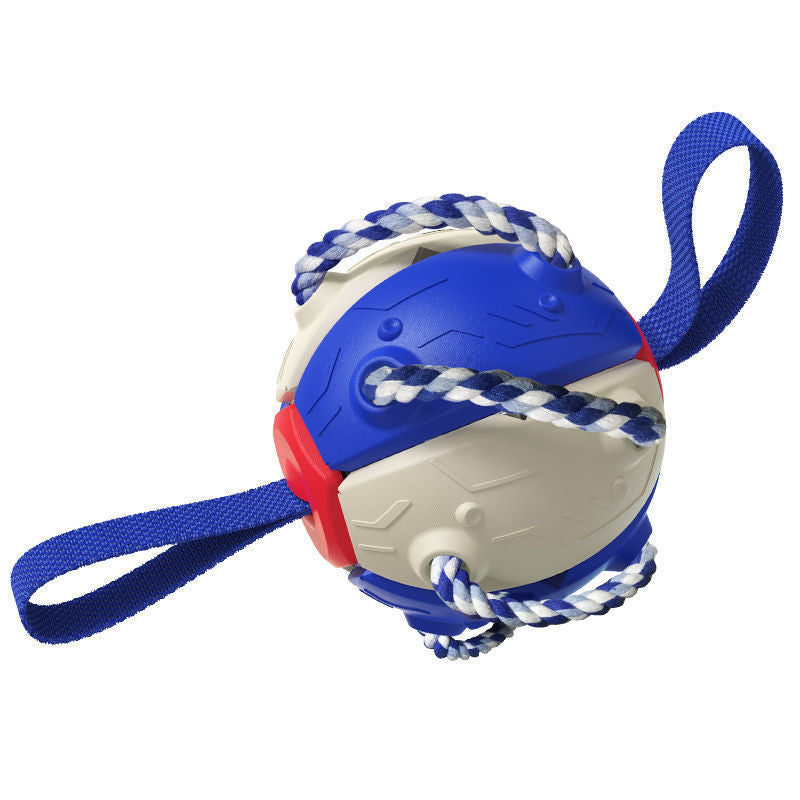 PawsKick Interactive Dog Sport Ball