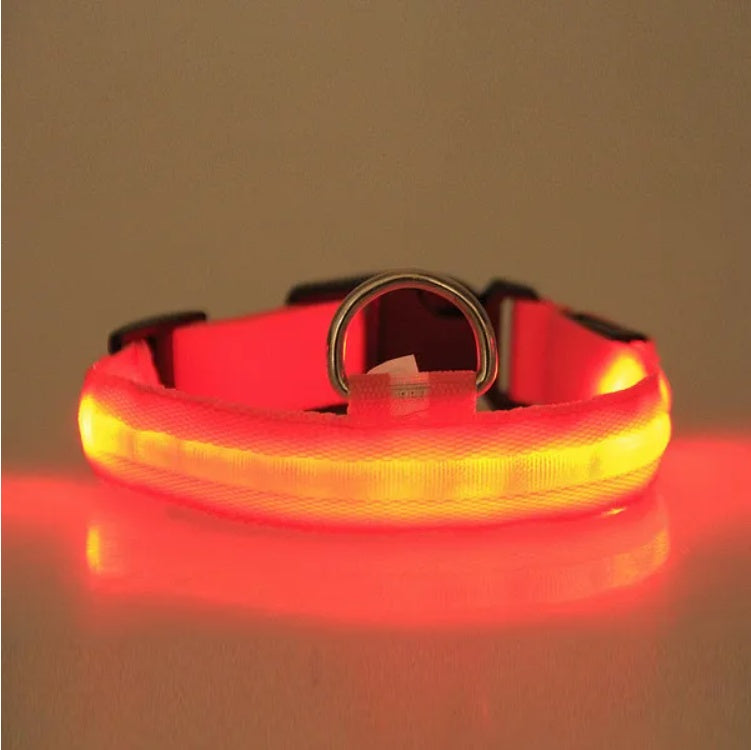 LED Safety Halo Collar – Illuminated Pet Collar for Night Visibility