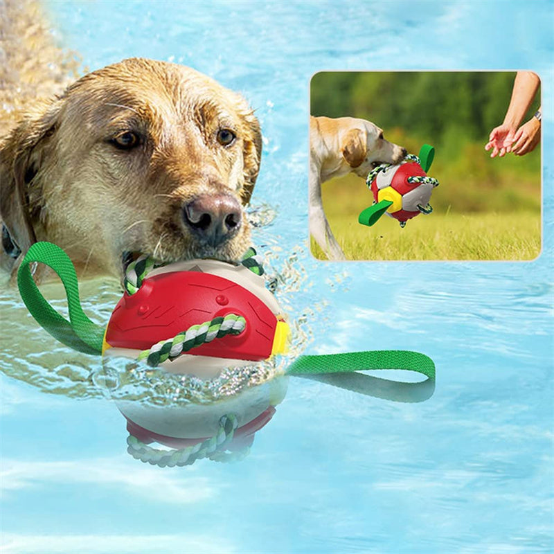 PawsKick Interactive Dog Sport Ball
